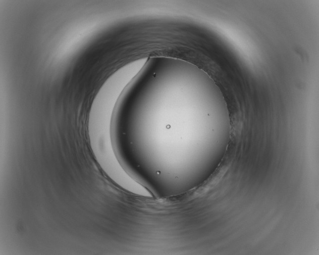 X0000115250431200911131728