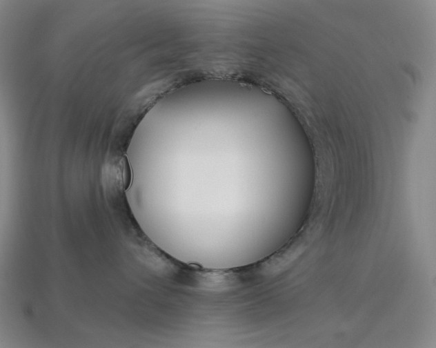 X0000115250432200911131728