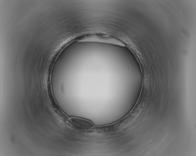 X0000115250434200911131728