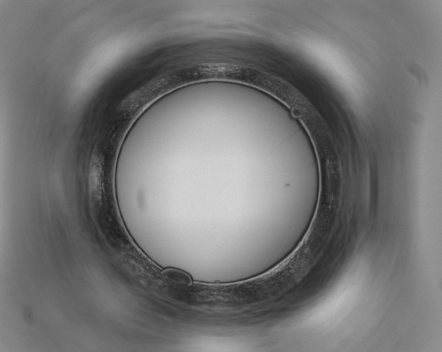 X0000115250435200911131728