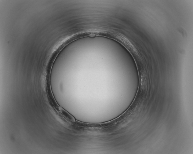 X0000115250436200911131728