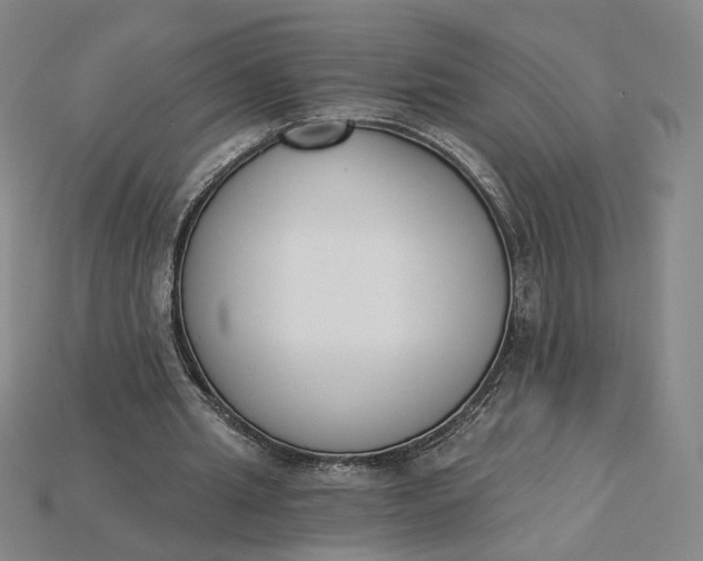 X0000115250437200911131728