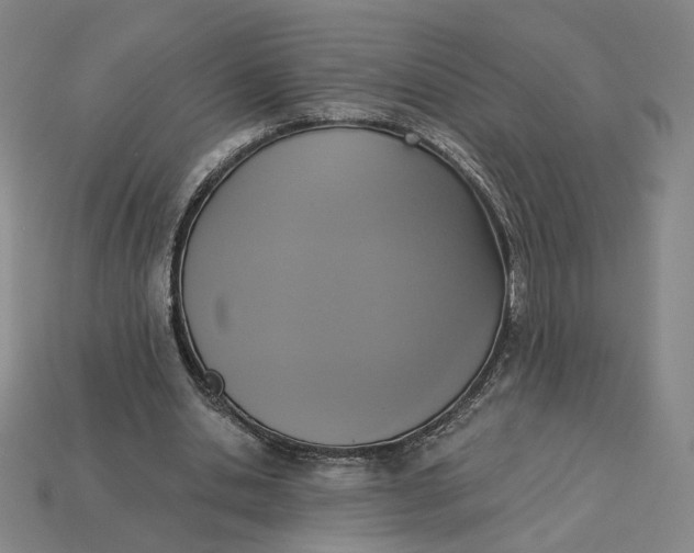 X0000115250438200911131728