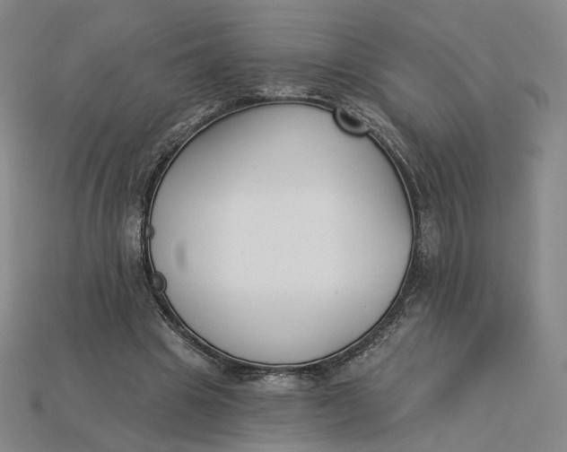 X0000115250441200911131728