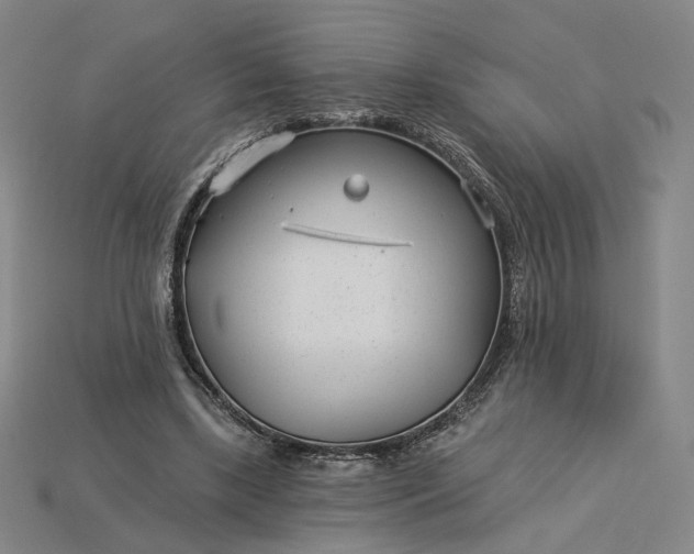 X0000115250443200911131728