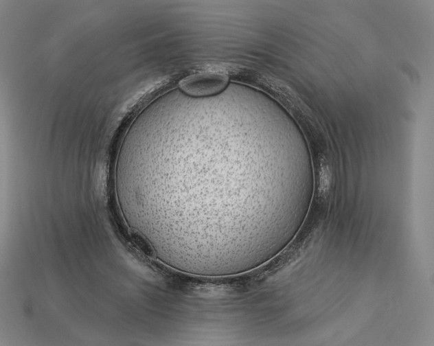 X0000115250444200911131728