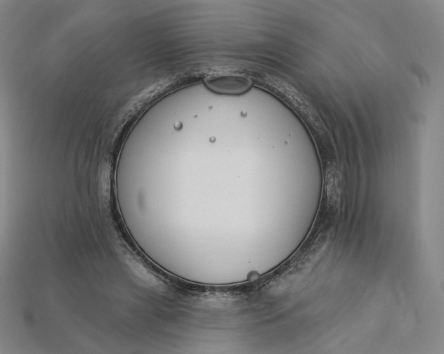 X0000115250445200911131728