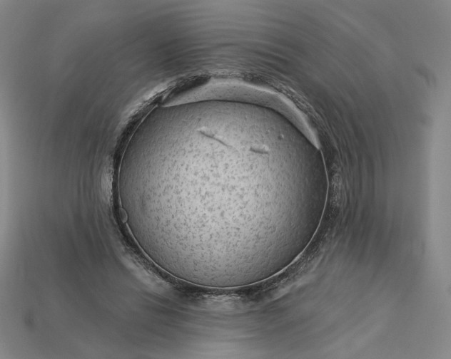 X0000115250446200911131728