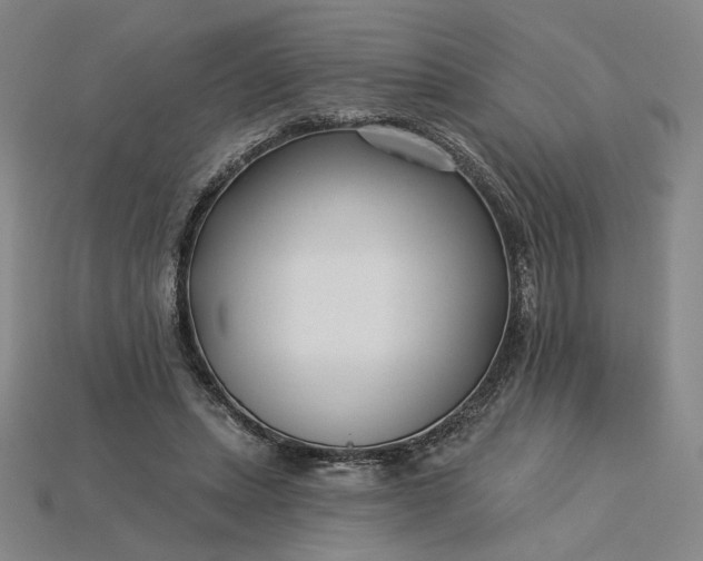 X0000115250447200911131728