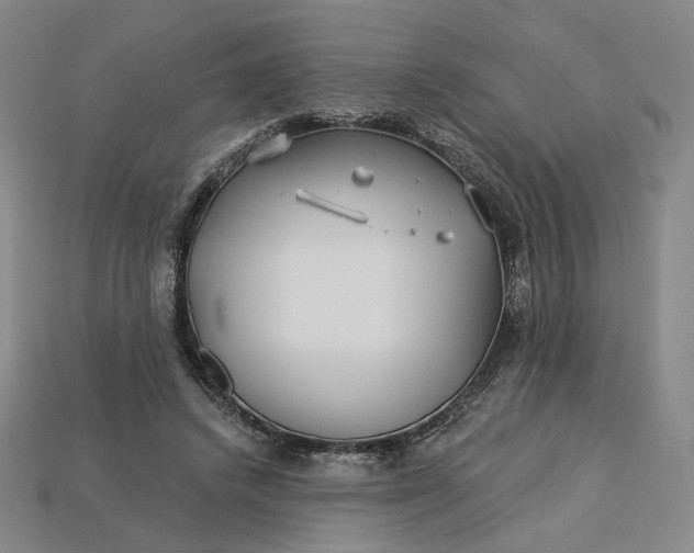 X0000115250448200911131728