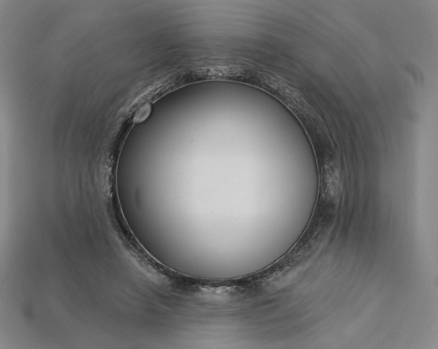 X0000115250450200911131728