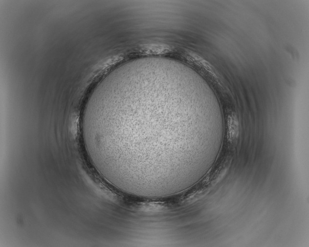 X0000115250451200911131728