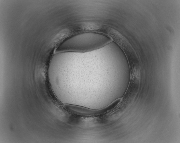 X0000115250452200911131728