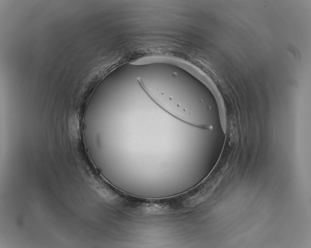 X0000115250453200911131728