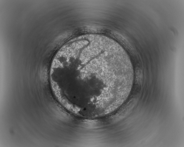 X0000115250457200911131728