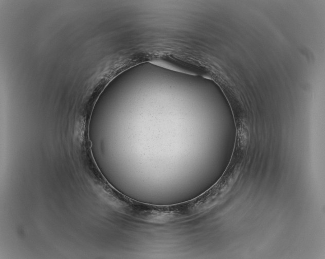 X0000115250458200911131728