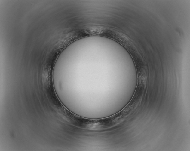 X0000115250460200911131728