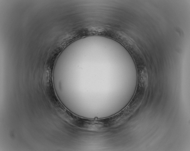 X0000115250463200911131728