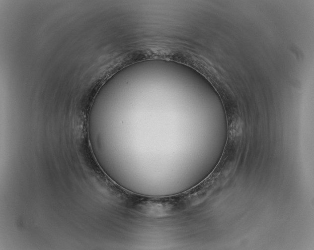 X0000115250464200911131728