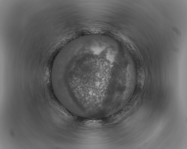 X0000115250465200911131728