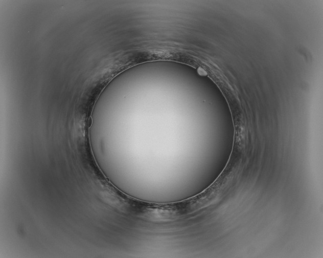 X0000115250466200911131728