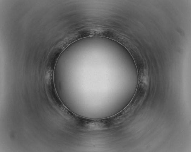 X0000115250468200911131728