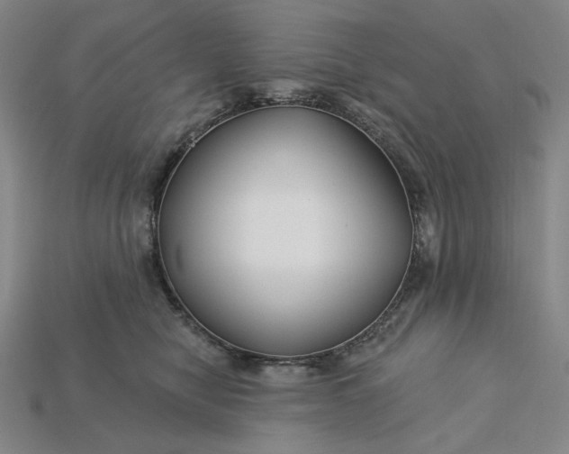 X0000115250470200911131728