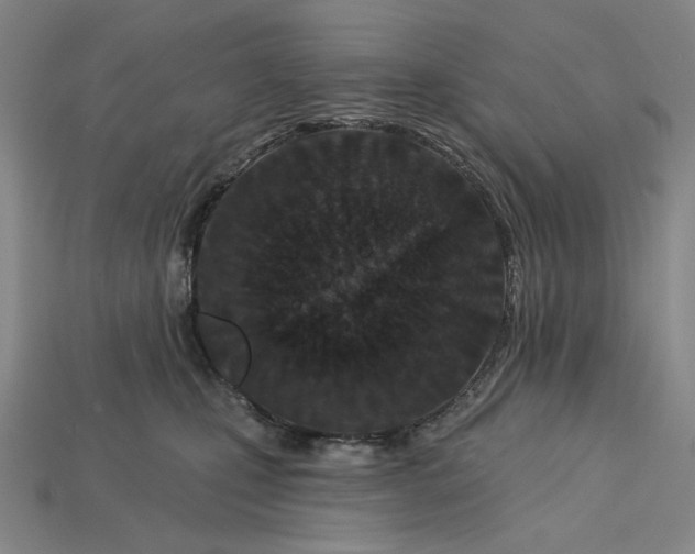 X0000115250471200911131728