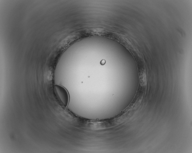 X0000115250472200911131728