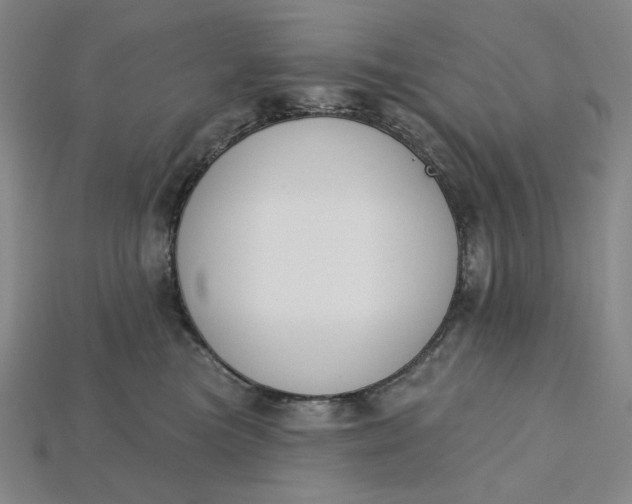 X0000115250473200911131728