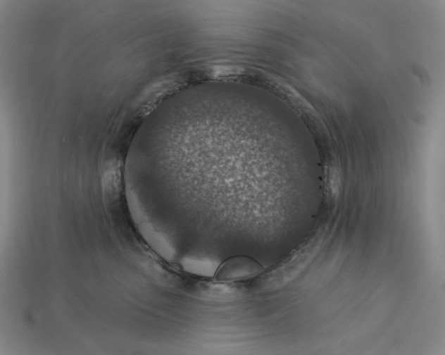 X0000115250475200911131728