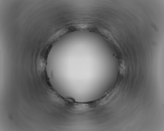 X0000115250476200911131728