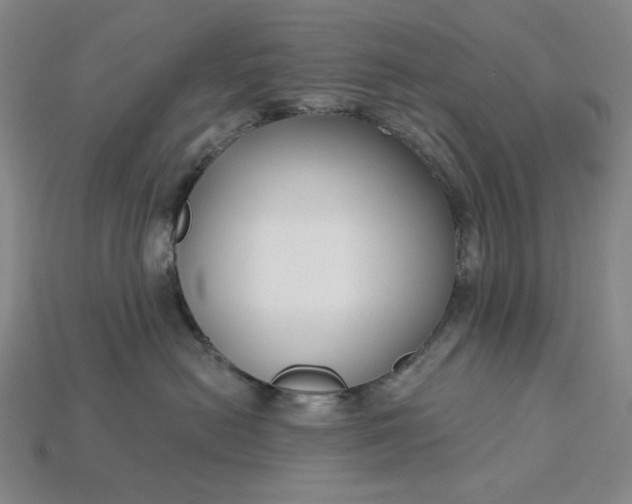 X0000115250478200911131728