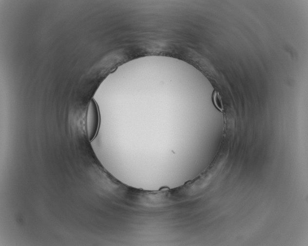 X0000115250479200911131728