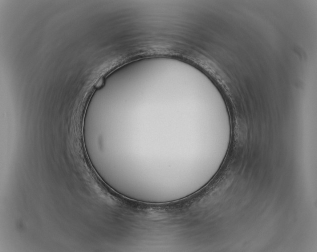 X0000115250481200911131728