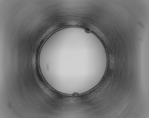 X0000115250482200911131728