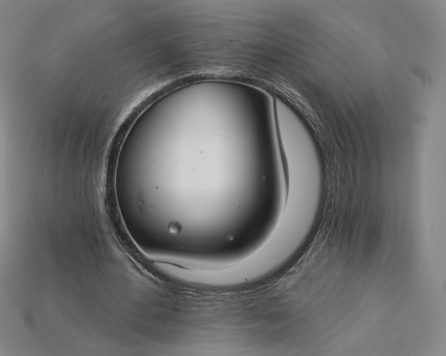 X0000115250484200911131728