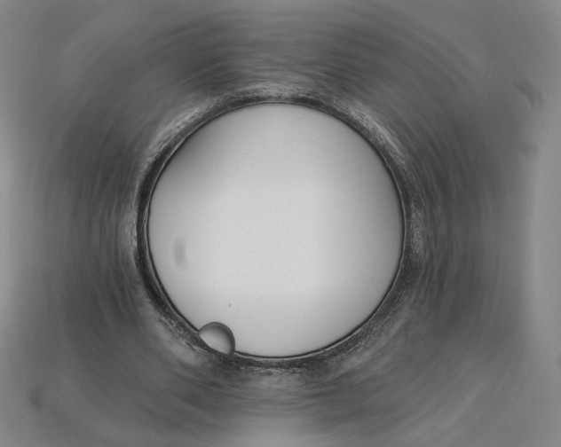 X0000115250486200911131728