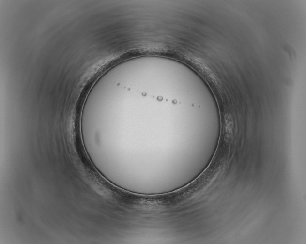 X0000115250487200911131728