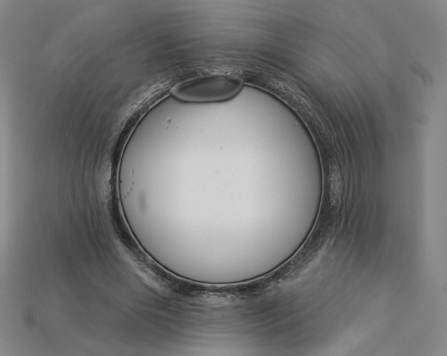 X0000115250490200911131727