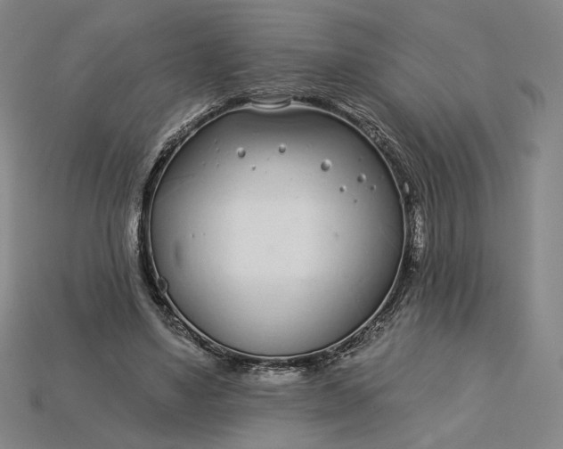 X0000115250491200911131727