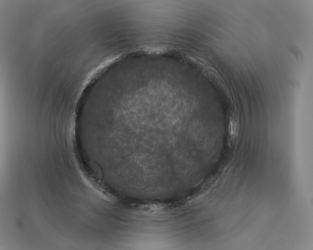 X0000115250492200911131727