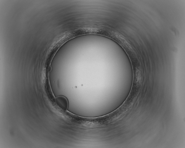 X0000115250494200911131727