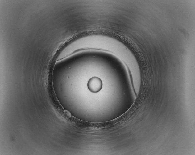 X0000115250496200911131727