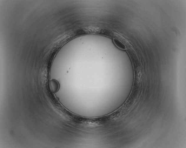 X0000115250498200911131727