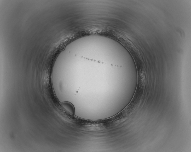 X0000115250499200911131727