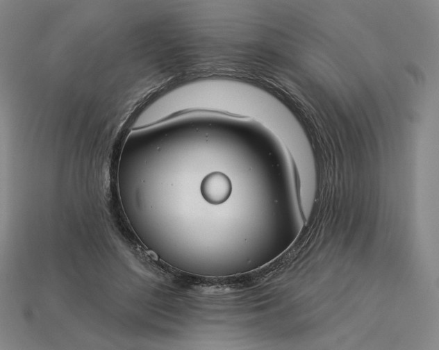 X0000115250500200911131727