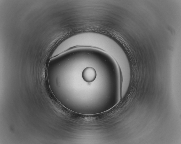 X0000115250501200911131727