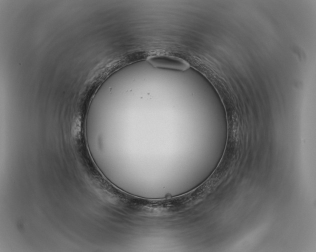 X0000115250502200911131727