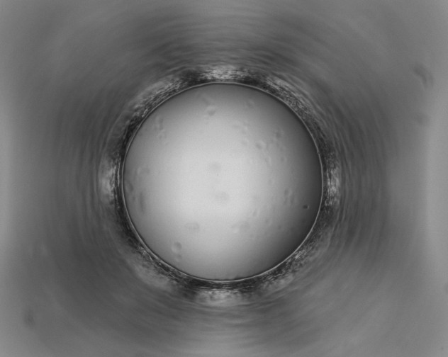 X0000115250503200911131727